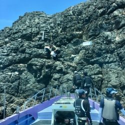 鵜来島家本渡船 釣果