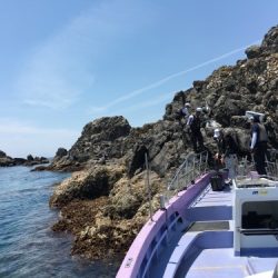 鵜来島家本渡船 釣果