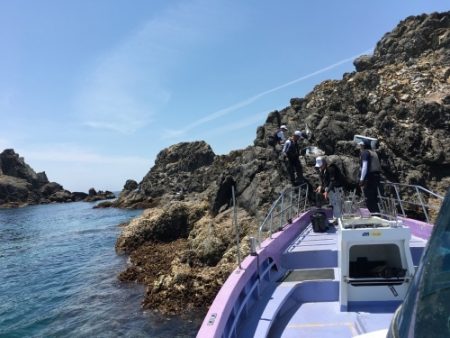 鵜来島家本渡船 釣果