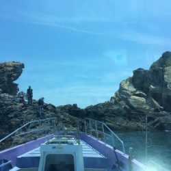 鵜来島家本渡船 釣果