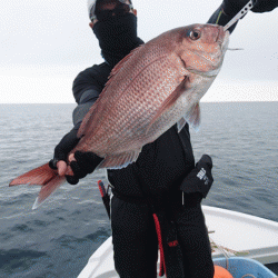 遊漁船ブルーウッズ 釣果