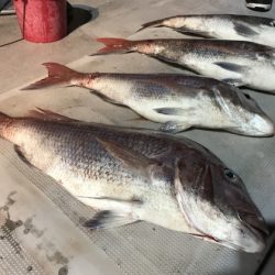 寿裕 （YOSHIHIRO） 釣果