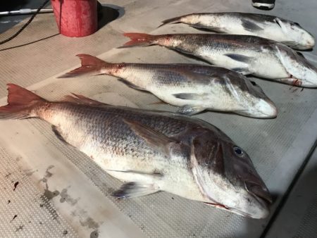 寿裕 （YOSHIHIRO） 釣果