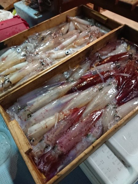 宝生丸 釣果