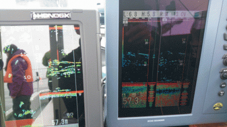 遊漁船ブルーウッズ 釣果