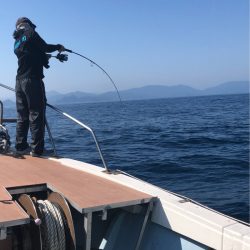 あみや渡船 JIGBOY 釣果