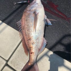 あみや渡船 JIGBOY 釣果