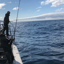 あみや渡船 JIGBOY 釣果