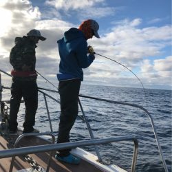 あみや渡船 JIGBOY 釣果