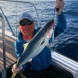 あみや渡船 JIGBOY 釣果