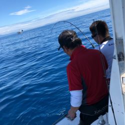 あみや渡船 JIGBOY 釣果