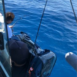 あみや渡船 JIGBOY 釣果