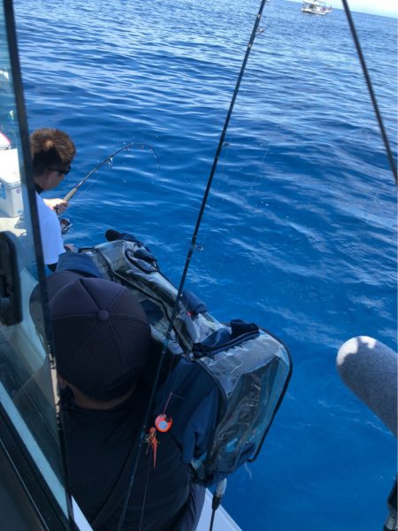 あみや渡船 JIGBOY 釣果