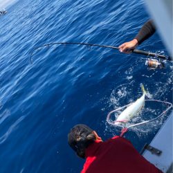 あみや渡船 JIGBOY 釣果