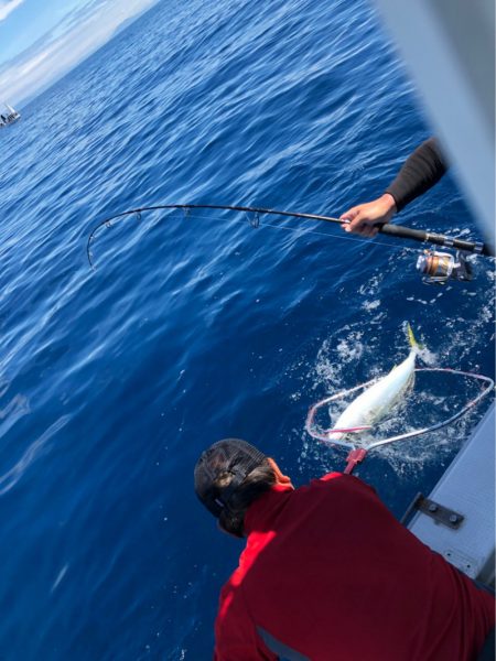 あみや渡船 JIGBOY 釣果