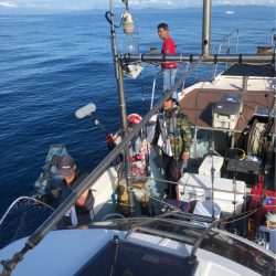 あみや渡船 JIGBOY 釣果