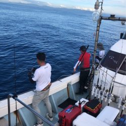 あみや渡船 JIGBOY 釣果