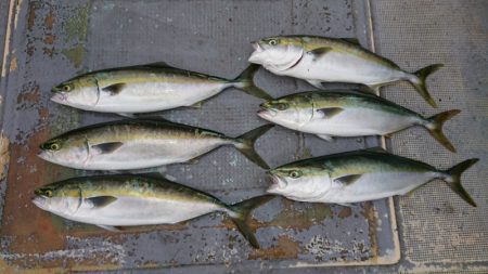 FISHING RISKY 釣果