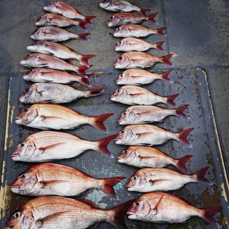 FISHING RISKY 釣果