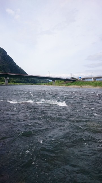 狩野川(狩野川漁業協同組合) 釣果