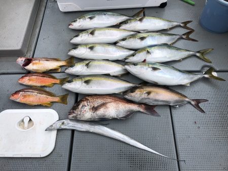 sea boss　シーボス 釣果