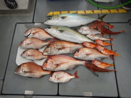 sea boss　シーボス 釣果