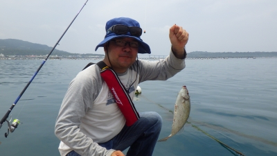 本部釣りイカダ 釣果