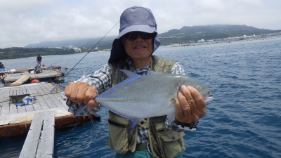 本部釣りイカダ 釣果