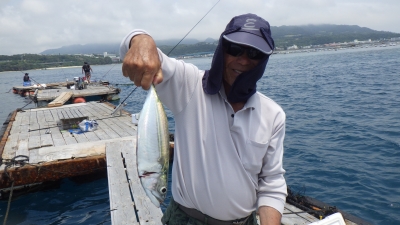 本部釣りイカダ 釣果