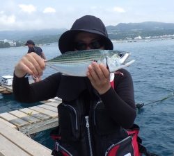 本部釣りイカダ 釣果