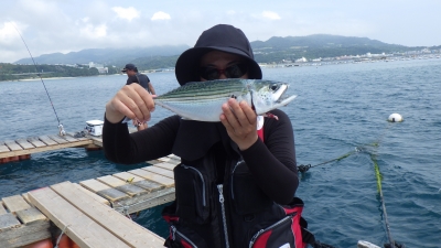 本部釣りイカダ 釣果