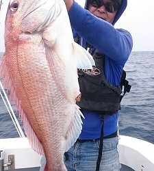 海龍丸(福岡) 釣果