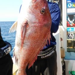 海運丸 釣果