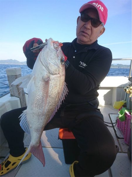 マタウマリンサービス 釣果