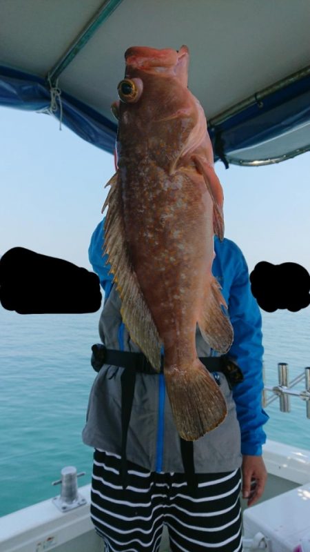 オーフリー 釣果