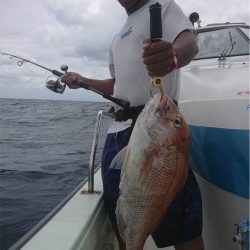 マタウマリンサービス 釣果