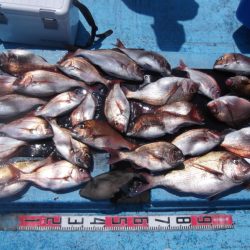 海宝丸 釣果