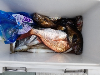 内浜丸 釣果