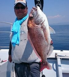 海龍丸(福岡) 釣果