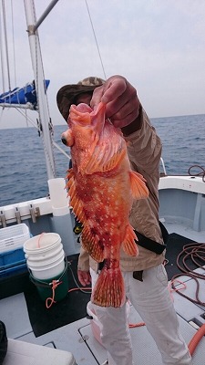 海龍丸(福岡) 釣果