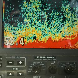 モンロー号 釣果