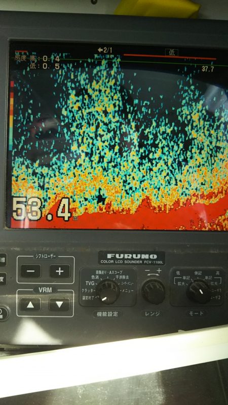 モンロー号 釣果