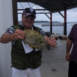 本部釣りイカダ 釣果