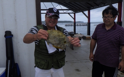 本部釣りイカダ 釣果