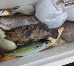 本部釣りイカダ 釣果