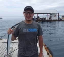 本部釣りイカダ 釣果