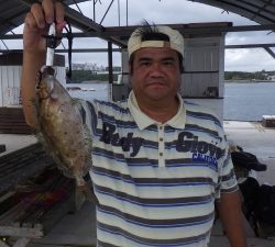 本部釣りイカダ 釣果