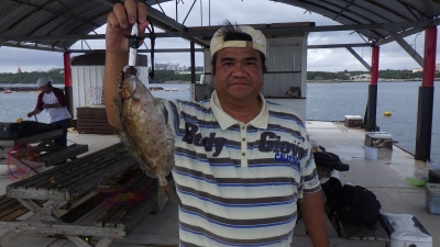 本部釣りイカダ 釣果