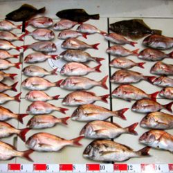 来温丸(らいおんまる) 釣果