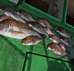 利弥丸（としやまる） 釣果